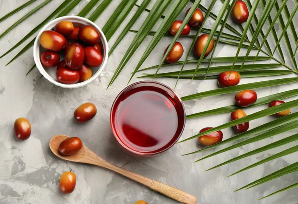 Indonesia Launches Its First Red Cooking Oil Facility