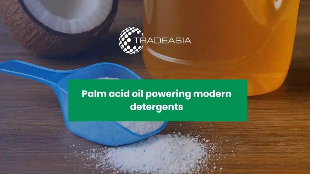 From Byproduct to Essential Ingredient: How Palm Acid Oil Powers Modern Detergent Production