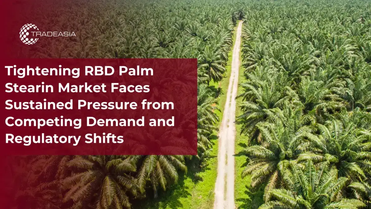 Tightening RBD Palm Stearin Market Faces Sustained Pressure from Competing Demand and Regulatory Shifts