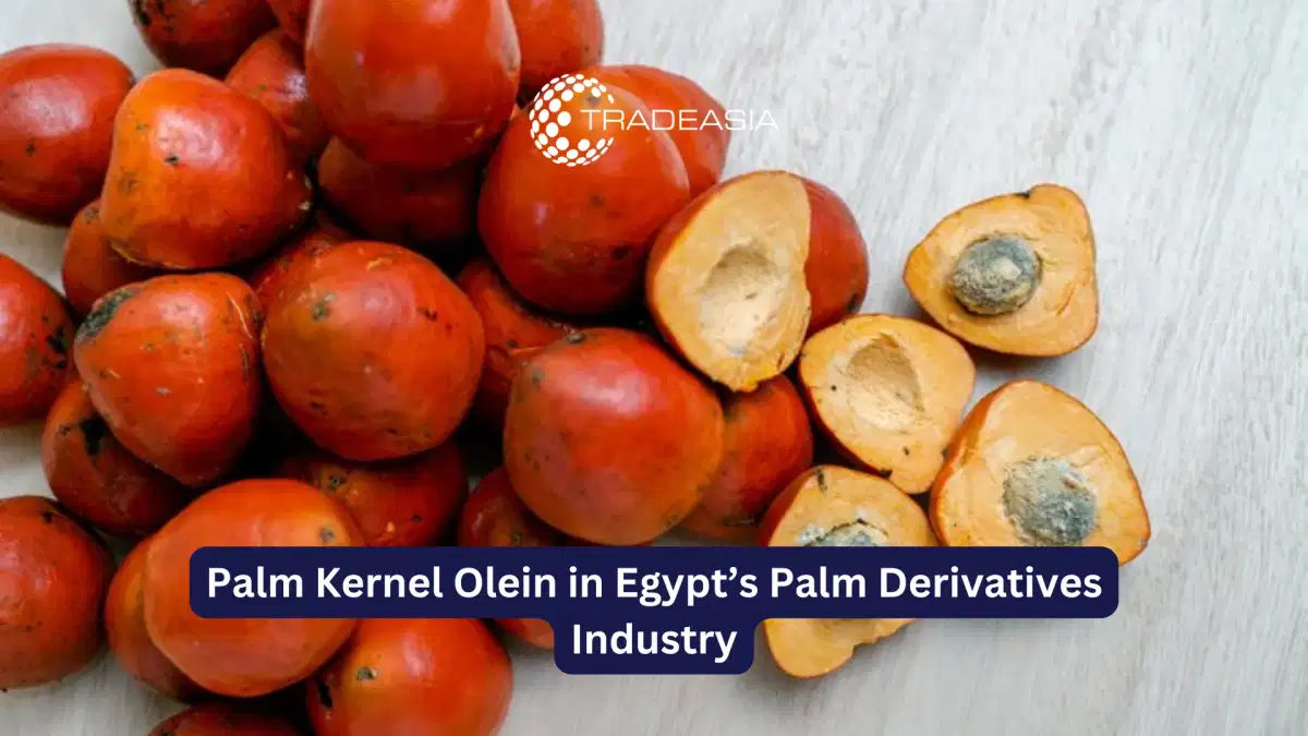 Palm Kernel Olein in Egypt’s Palm Derivatives Industry