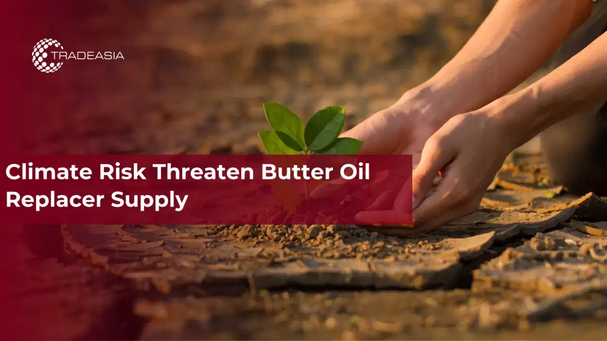 Climate Risk Threatens Butter Oil Replacer Supply